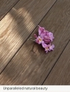 TimbeX Wood Composite